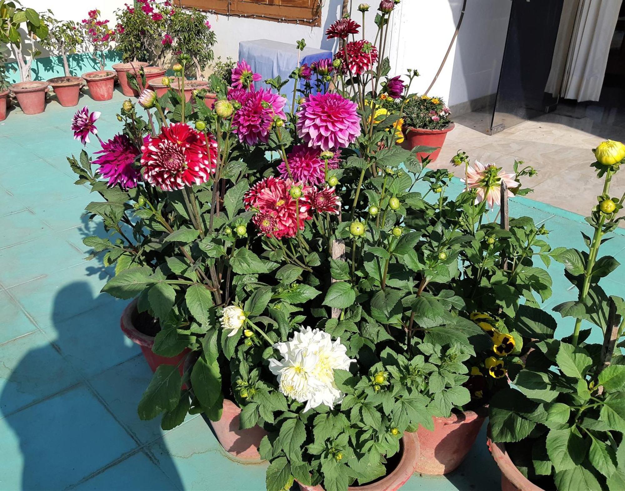 Fully Furnished Ish, Atithya Homestay With Various Amenities And Free Services In Lucknow, India Esterno foto