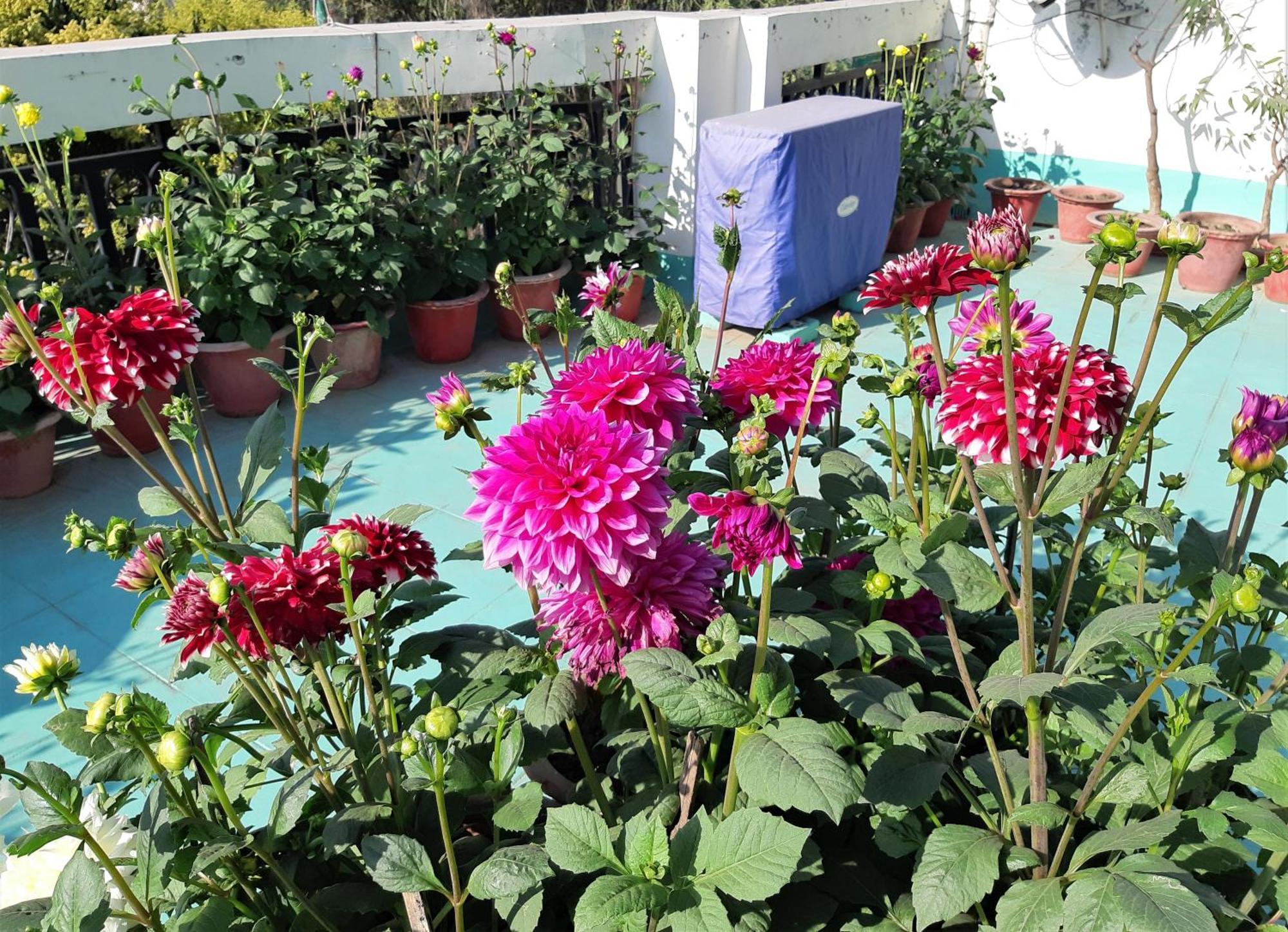 Fully Furnished Ish, Atithya Homestay With Various Amenities And Free Services In Lucknow, India Esterno foto