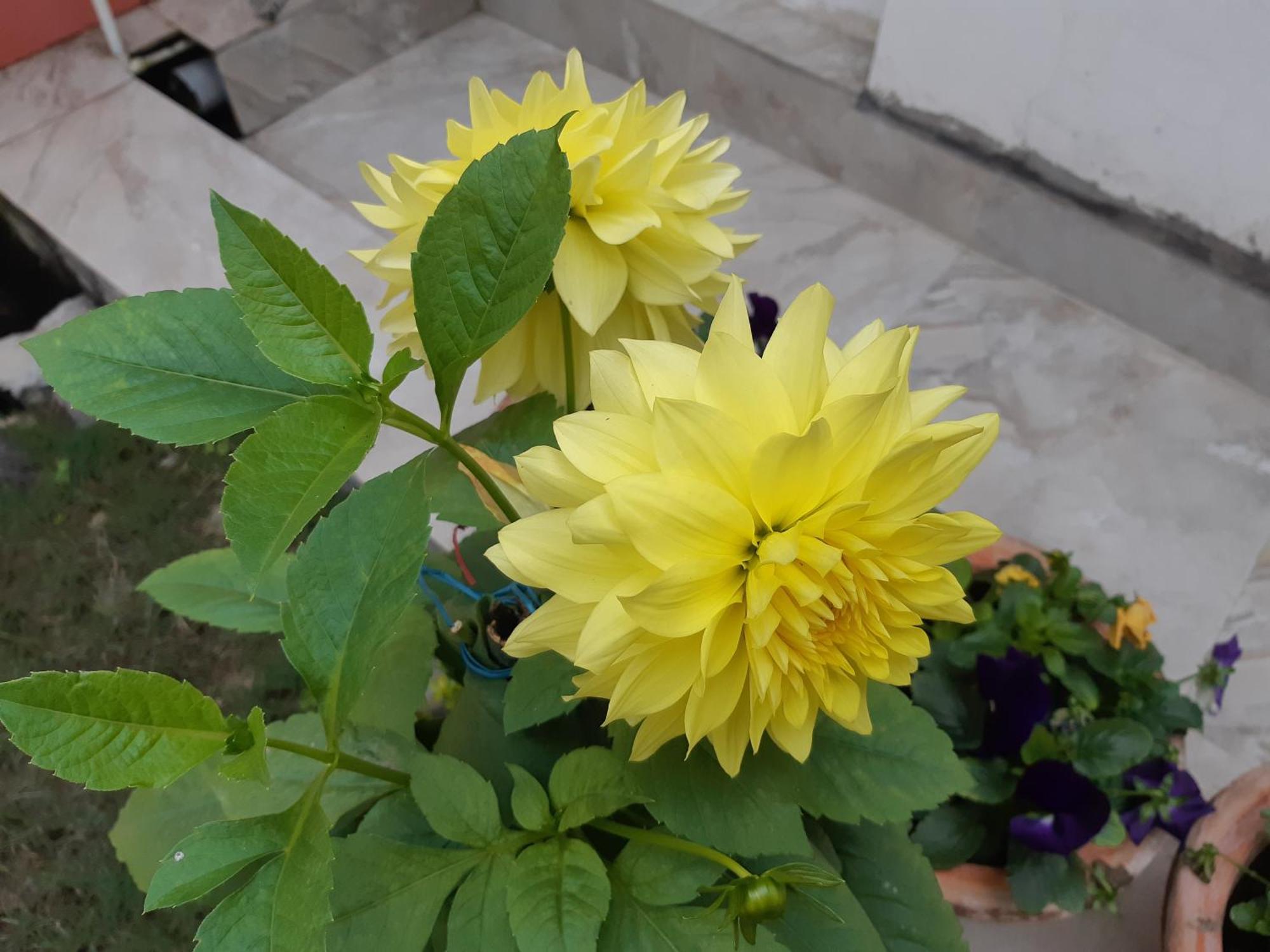 Fully Furnished Ish, Atithya Homestay With Various Amenities And Free Services In Lucknow, India Esterno foto